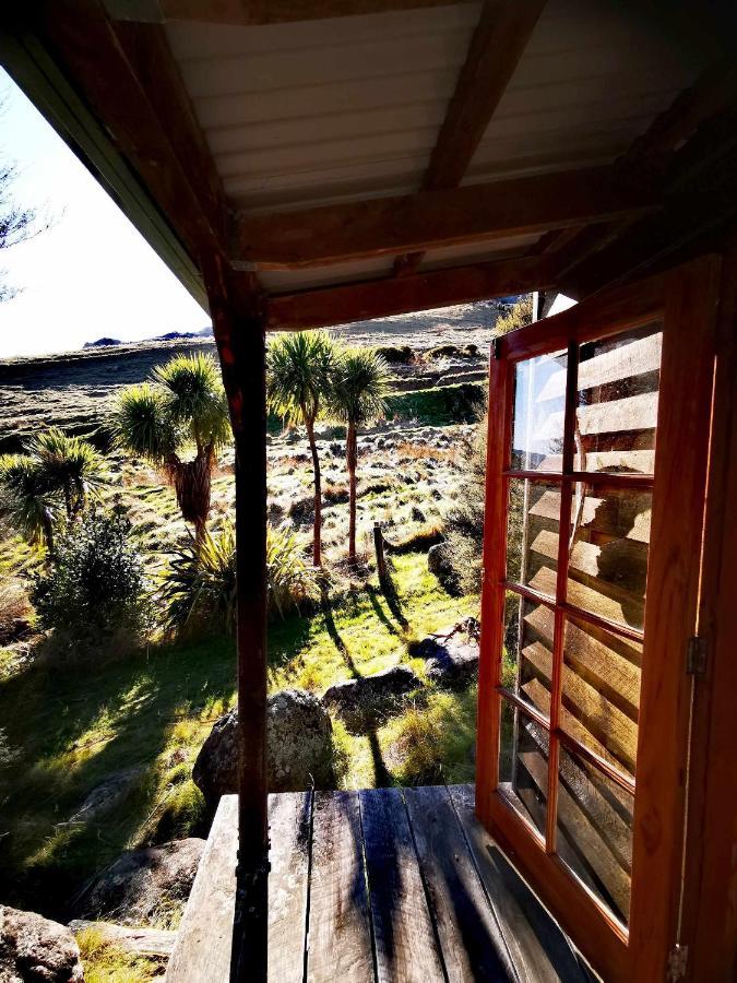 Manaaki Mai, Rustic Retreat Bush Cabin Christchurch Luaran gambar