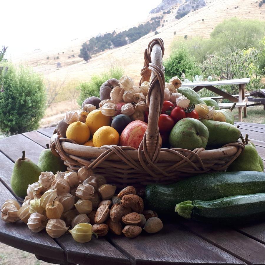Manaaki Mai, Rustic Retreat Bush Cabin Christchurch Luaran gambar