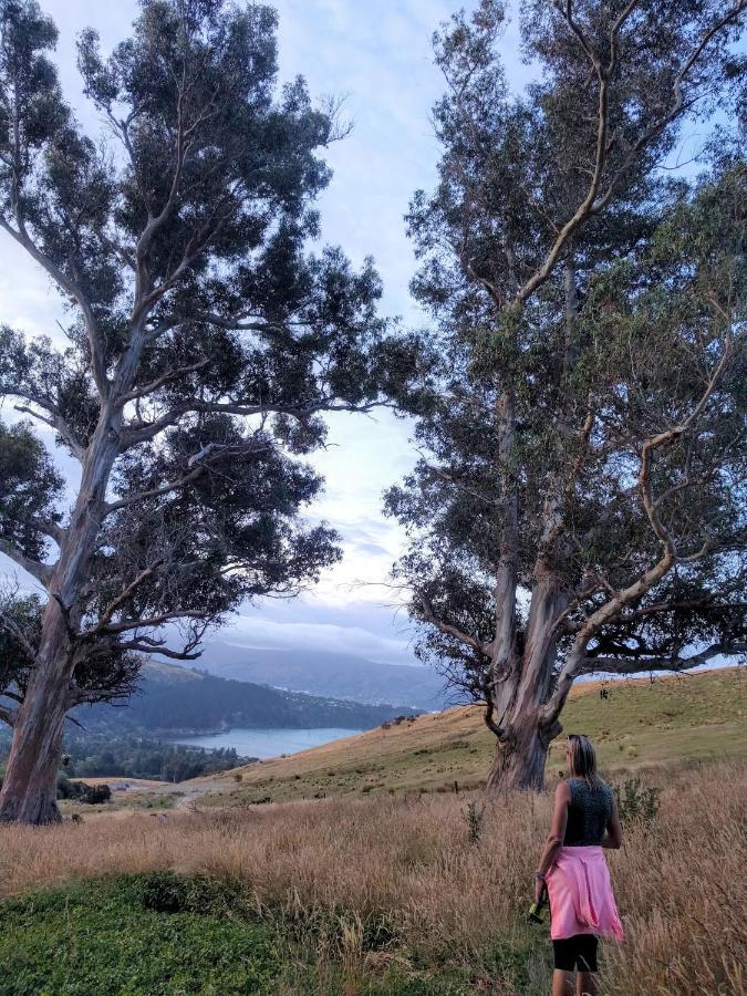 Manaaki Mai, Rustic Retreat Bush Cabin Christchurch Luaran gambar